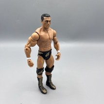 2011 WWE Alberto Del Rio 7&quot; Wrestling Action Figure Mattel 01040B - £9.76 GBP