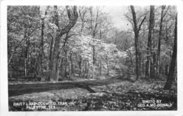 Davey Lake Dogwood Trail Palestine Texas 1950 RPPC Photo Postcard 12451 - $4.03