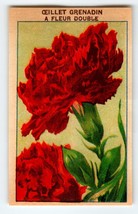 1920&#39;s Flower Seed Art Print OEILLET GRENDIN Lithograph Original Vintage Unused - £7.28 GBP