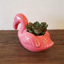 Pink Flamingo Planter with Succulent, live plant, Echeveria in Ceramic Bird Pot image 3