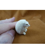 Hed-w4 little white Hedgehog shed moose ANTLER figurine Bali detailed ca... - £80.49 GBP