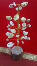 9999 SRI SHRI LAXMI LAKSHMI KAUDI(WHITE) FOR WEALTH AND PROSPERITY - $78.21