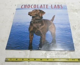 2002 Calendar Chocolate Lab Dogs - £1.55 GBP