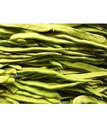USA Romano Bush Bean Italian Flat Green Pod Phaseolus Vulgaris 50 Seeds - £8.68 GBP