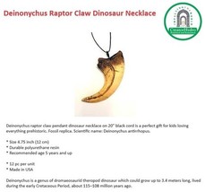 Deinonychus Raptor Claw Necklace| Size 4.75 Inch | - $127.06 MXN