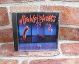 Digable Planets Promo CD Single Rebirth Of Slick (Cool Like Dat) Remix P... - $32.56