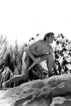 Johnny Weissmuller As Tarzan In Tarzan The Ape Man 11x17 Mini Poster - £10.22 GBP