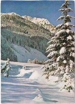 Germany Postcard Winter am Breitenberg - £2.32 GBP