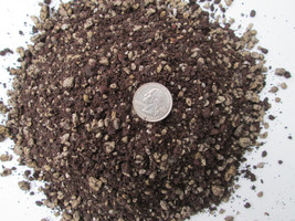 5 Qts - Soil Mix for Spined Succulents &amp; Cactus -Custom Blend - Proper Drainage - £6.38 GBP
