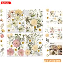 Dried Pressed Flowers for Crafts in Soft Yellow White Pink 80 Pieces wit... - $28.66