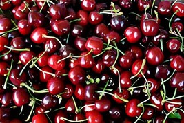 12 Seeds Heirloom Red Middle Sweet Cherry Fruits - £9.01 GBP