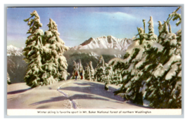 Mt. Baker National Forest Winter Skiing Northern Washington State Postcard - £3.82 GBP