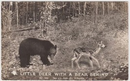 Little Deer With A Bear Behind Real Photo Postcard 1938 RPPC Unused - £2.26 GBP