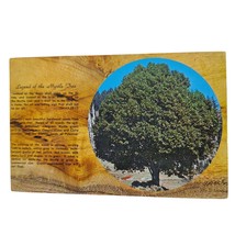 Postcard Legend Of The Myrtle Tree Chrome Unposted - £5.33 GBP