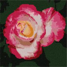 Pepita Needlepoint kit: A Rose is A Rose, 10&quot; x 10&quot; - £62.00 GBP+