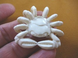 (crab-5) rock shore Crab of shed ANTLER figurine Bali detailed carving c... - £53.73 GBP