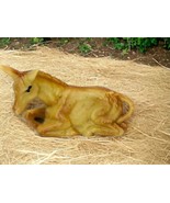 Vtg DONKEY Christmas Nativity Scene Figure Hard ART PLASTICS Hong Kong 1... - $16.80 CAD