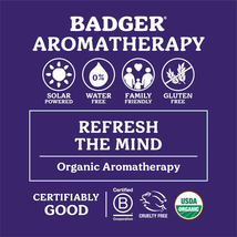Badger Headache Soother, .6 Oz image 4