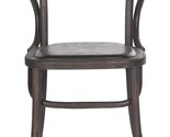 Safavieh Mercer Collection Kenny Arm Chair, Antique Black - $354.99