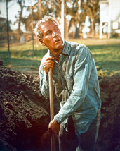  Paul Newman in Cool Hand Luke Digging a Hole 16x20 Canvas Giclee - £54.84 GBP