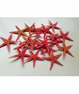 Dried Starfish Pink Colored - Wedding Decoration - Crafting - Wreaths - ... - $223.20 MXN