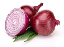VP Bermuda Onion for Garden Planting USA  500+ Seeds - $8.22