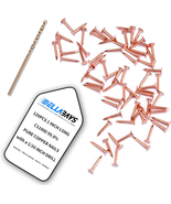 Copper Roofing Nail Set - 120 Pcs 1-Inch Copper Nails &amp; 1/16 Inch Drill ... - £18.92 GBP