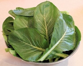 Komatsuna Tendergreen Seed  Heirloom MustardSpinach Hybrid Seeds ?Oz  From US - £8.48 GBP