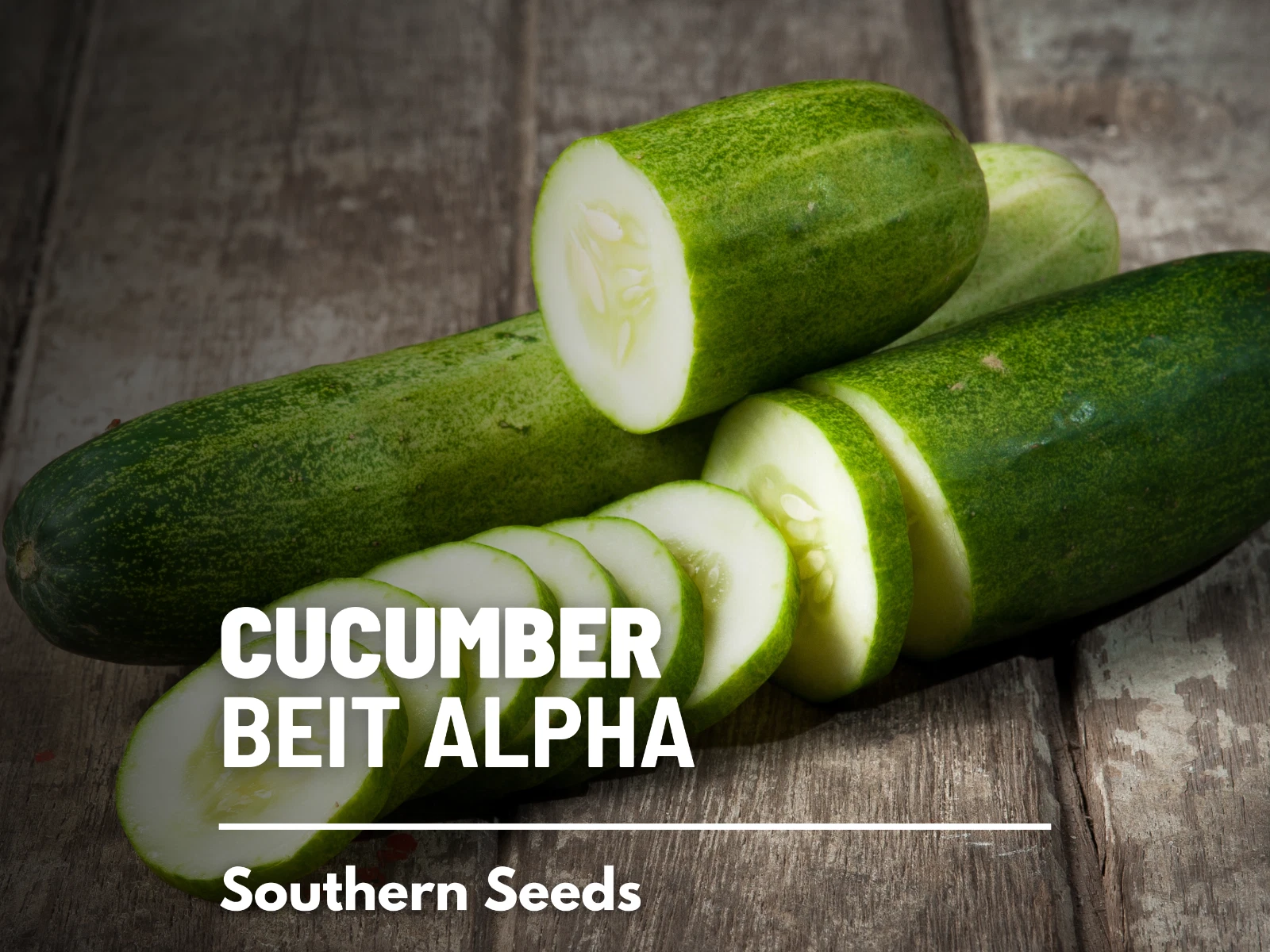 Cucumber, Beit Alpha - Heirloom Seeds - NonGMO (Cucumis sativus) - $14.94