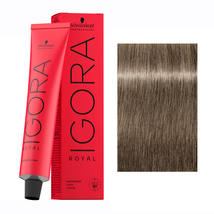 Schwarzkopf IGORA ROYAL Hair Color, 8-1 Light Blonde Cendré