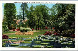 Famous Lily Ponds in Tower Grove Park St Louis Missouri Postcard Posted 1937 - £11.83 GBP