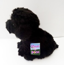 Labradoodle black   12  thumb200