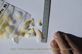 50 yellow feathers of 2.5 and 3 cm / 50 plumas amarillas de 2,5 y 3 cm - £9.88 GBP
