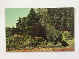  vintage POSTCARD unposted ✉️ ROSE TRELLIS Butchart Gardens VICTORIA BC ... - £1.91 GBP