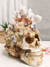 Marine Sea Explorer The Great Barrier Coral Reef Shells And Rocks Skull Figurine - £25.69 GBP