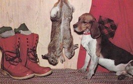Greetings from Catskill Mountains New York NY Dog Rabbits Boots Postcard... - £2.35 GBP