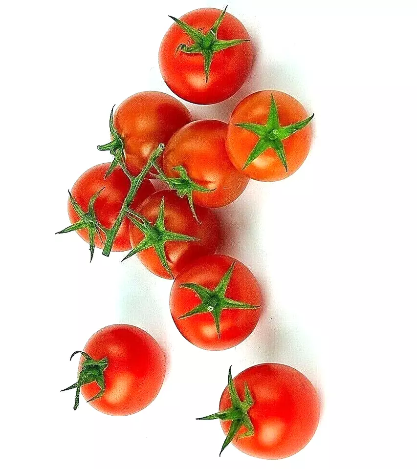 KingStore 200 Cherry Tomatoes Super Sweet Large Sweet Tasty Planting Seeds - $9.75