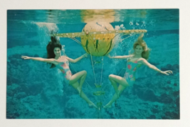 Weeki Wachee Spring of Mermaids Florida Attraction Koppel Cards Postcard 1968 - £7.83 GBP
