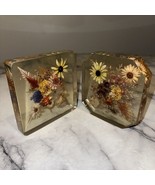 2 Vintage Preserved Flower Resin Block Lucite Art Dried 5x5&quot; Set Daisy M... - $92.08 CAD