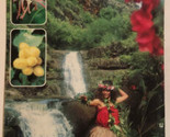 Vintage Waimea Falls Park Brochure Hawaii 1986 BRO1 - $8.90