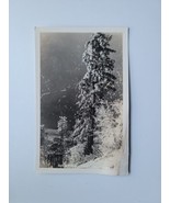Vintage RPPC Postcard Snow Capped Pine Tree Winter Sentinel 1939 Winter ... - £9.88 GBP