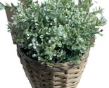 Ikea potted Plant Imitation Plastic with Wicker Pot Plastic Lined 8.5 in... - £8.81 GBP