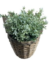 Ikea potted Plant Imitation Plastic with Wicker Pot Plastic Lined 8.5 in tall - £8.77 GBP
