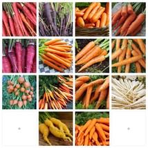 Carrot Seeds Collection, NON-GMO, 14 Varieties To Choose From, Free Shipping - £1.32 GBP+