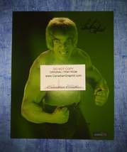 Lou Ferrigno Hand Signed Autograph 8x10 Photo - £70.29 GBP