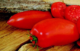 G_S Jersey Devil Tomato Seeds - $8.19