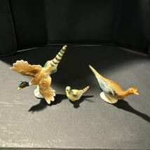 Pheasant Family Lot Of 3 Vintage MINIATURES Bone China Hand Pained - $12.55
