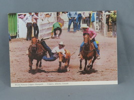 Vintage Postcard - Steer Wrestling the Calgary Stampede - Alex Wilson Production - £11.77 GBP