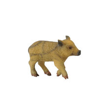 CollectA Wild Piglet Figure (Small) - Walking - $18.06