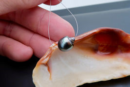 Item image 11
